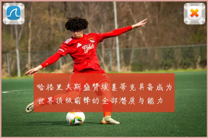 哈格里夫斯盛赞埃基蒂克具备成为世界顶级前锋的全部潜质与能力